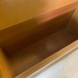 The 1960s vintage Dresser