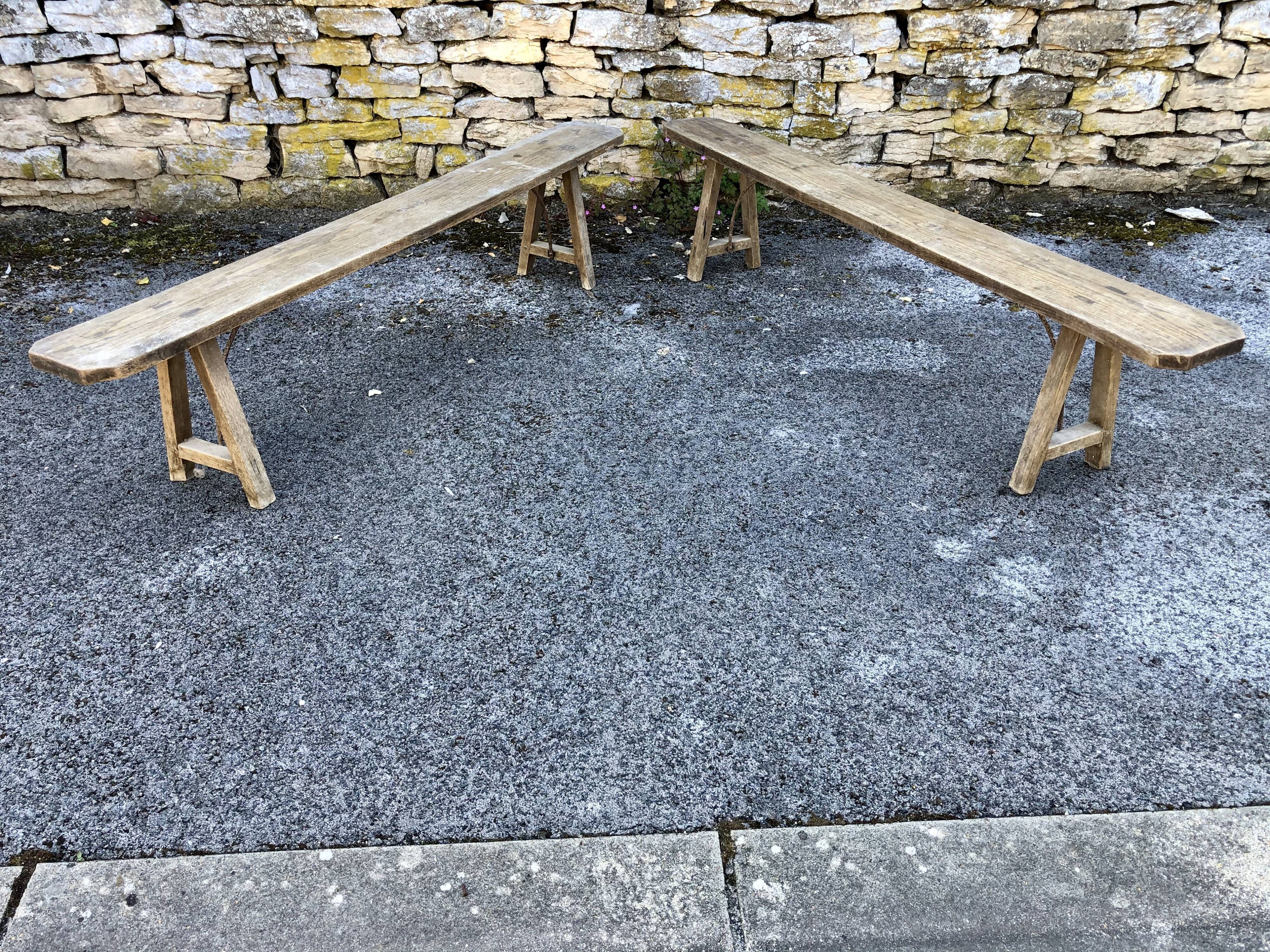 Pair of ancient benches in 19th century oak