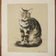 Basile Titoff - Large Signed Lithograph - Elf Cat