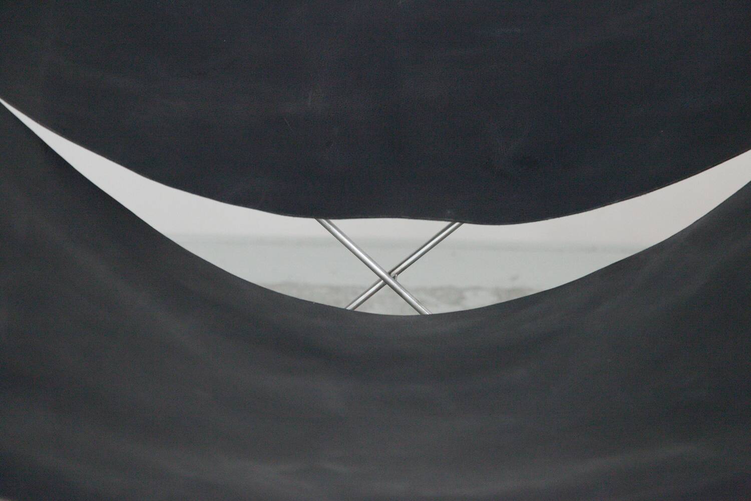 Papillon de Pierre Paulin