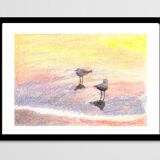 Brunswick Seagulls - A4 - Marine Illustration - Sea - Bird - Sea Birds