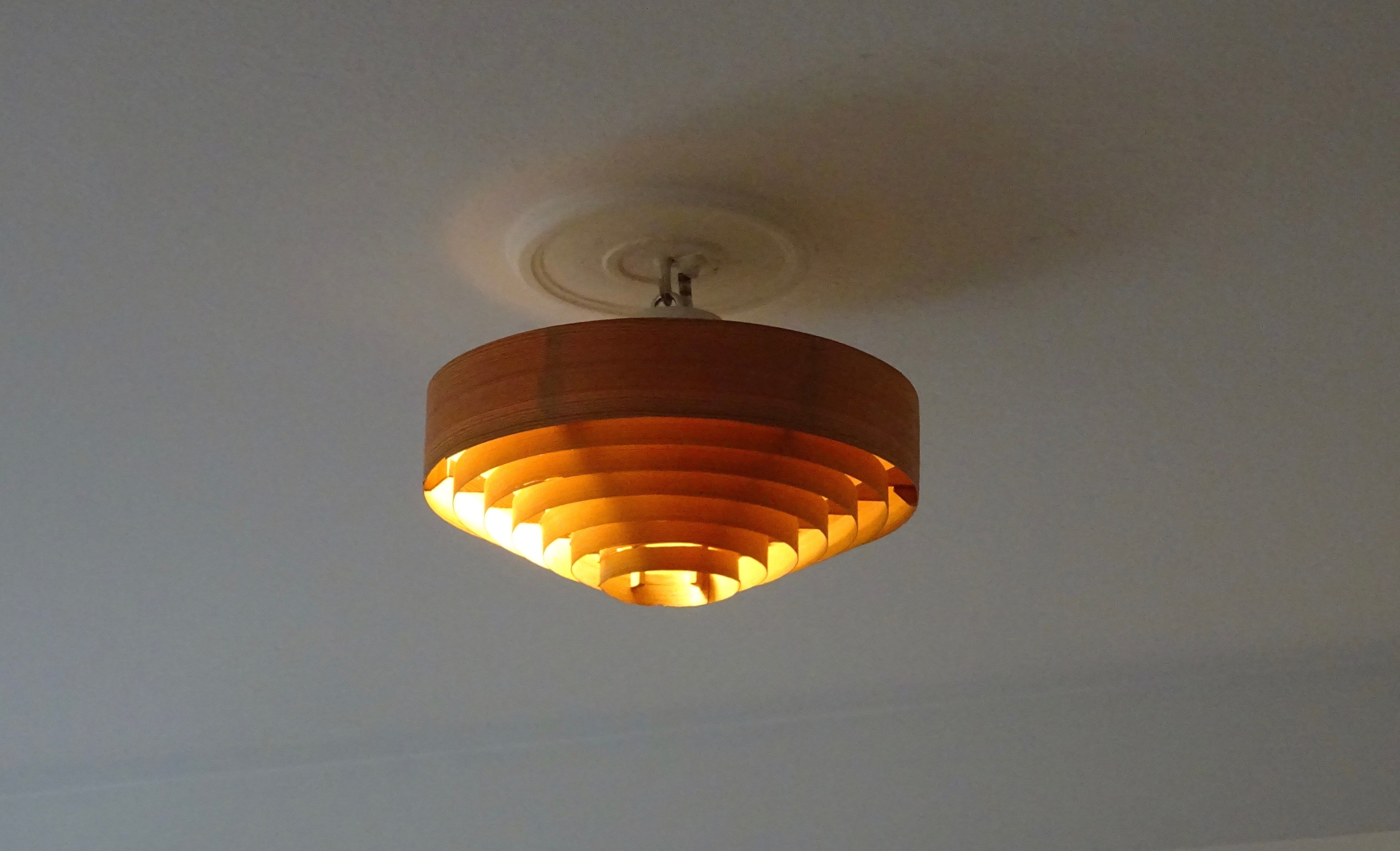 Ceiling lamp Hans Agne Jakbosson Elysett, 1960