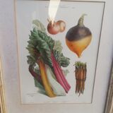 Framed botanical plank, vegetables