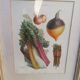 Framed botanical plank, vegetables