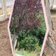 Miroir rose