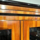 Biedermeier Bookcase, Cherry Veneer, South Germany 1820