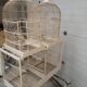Double cage with birds in wooden metal white rectangular bell tower 1910