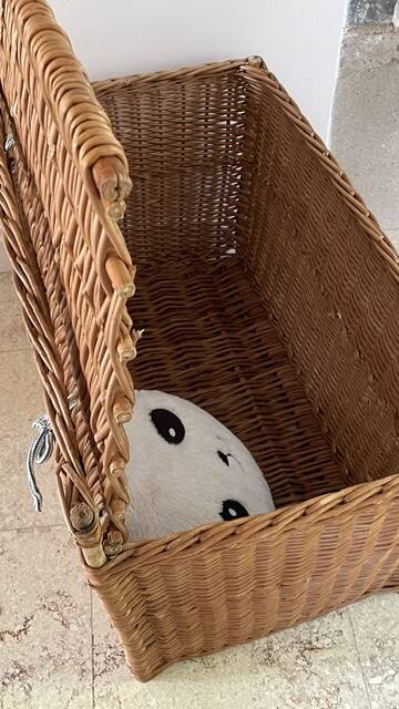 Vintage Rattan Chest Basket