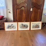 3 prints of ducks and partridges
