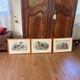 3 prints of ducks and partridges