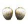 Paire de vases décor d'iris japonisant