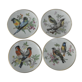 Set of 4 bird cups