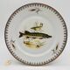 6 Limoges porcelain plates, fish pattern.