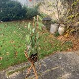 Porte plante en rotin et osier vintage