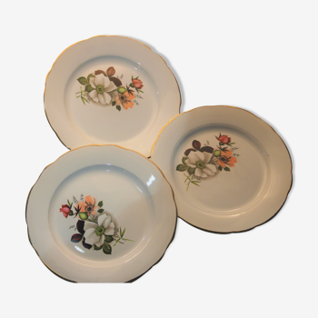 Set of 10 flat plates and 6 hollow porcelain plates "DIGOIN-SARREGUEMINES"