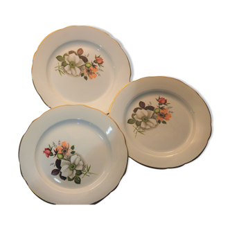Set of 10 flat plates and 6 hollow porcelain plates "DIGOIN-SARREGUEMINES"