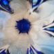Tall Blue Murano Style Art Glass Vase, Mid-Century Modern Design, 1960