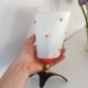 Rockabilly side lamp, perspex and brass, Pierre Guariche style, 1950