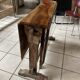 Folding table