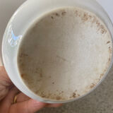 Milk jug or creamer