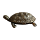 Boîte tortue
