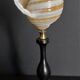 Cabinet of Curiosities shell tonna sulcosa on pedestal