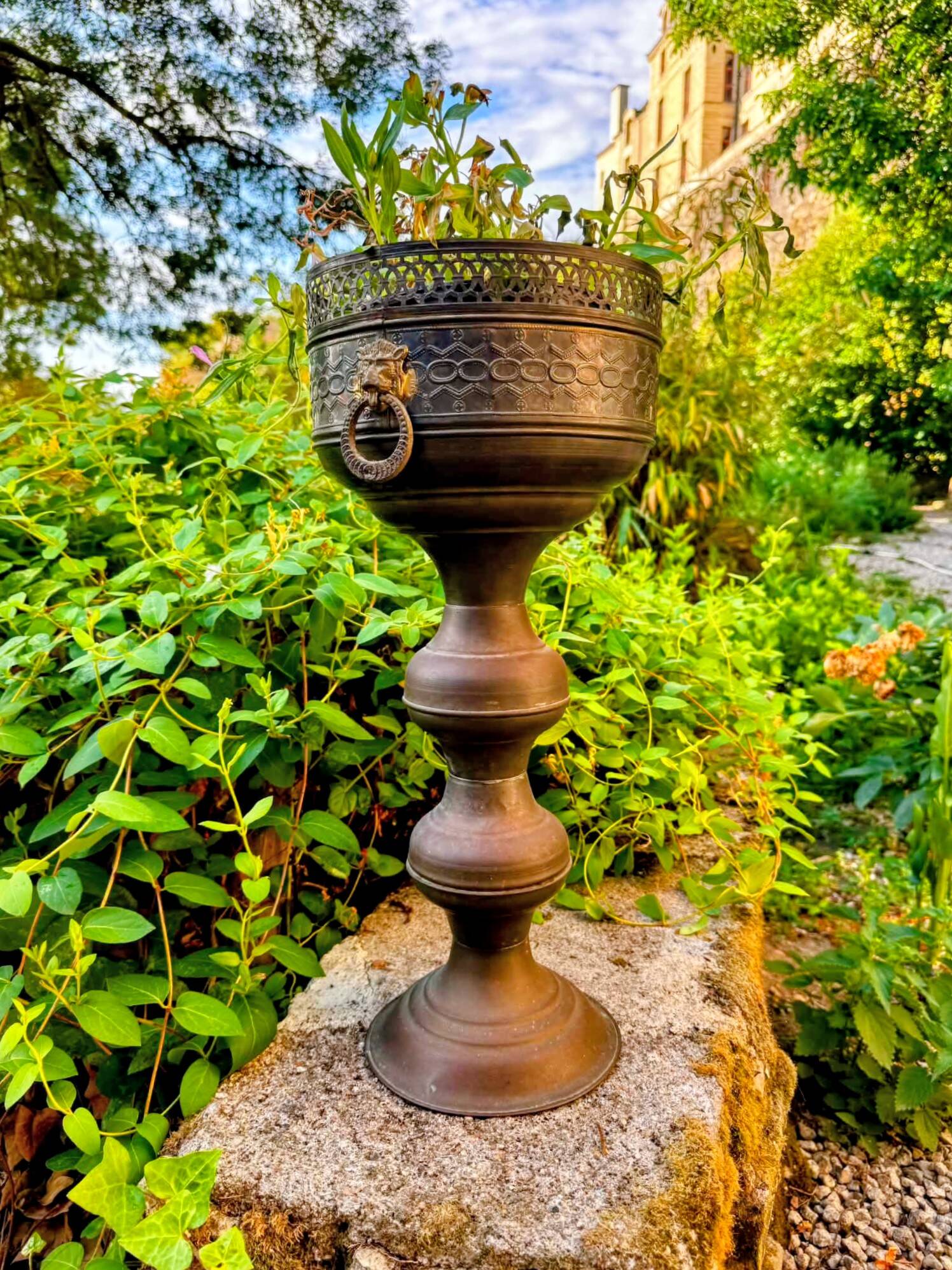 Large brass lion planter on a stand in Baroque Art Nouveau style.