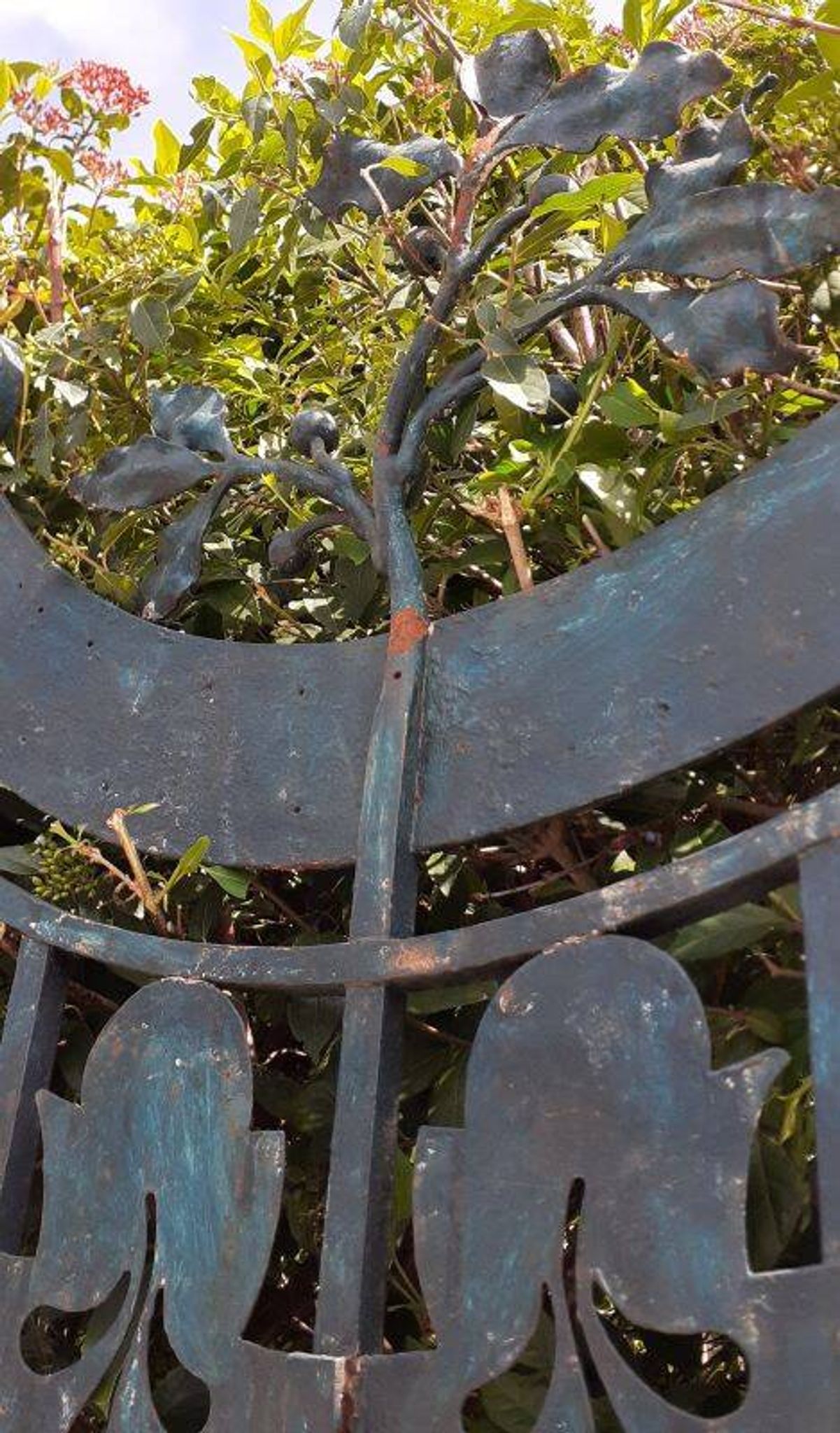 Solid gate, garden iron, H227x110cm, old, exterior door