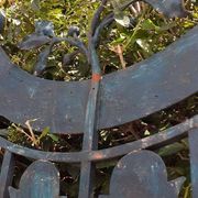 Solid gate, garden iron, H227x110cm, old, exterior door