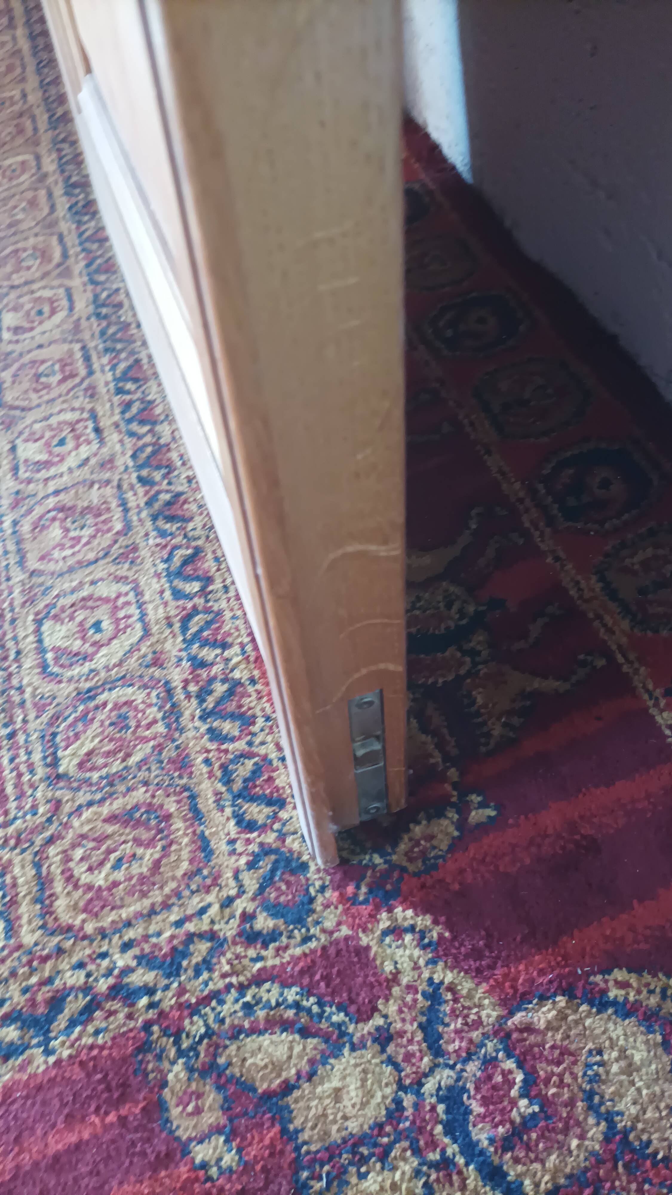 Double glass door in blond oak