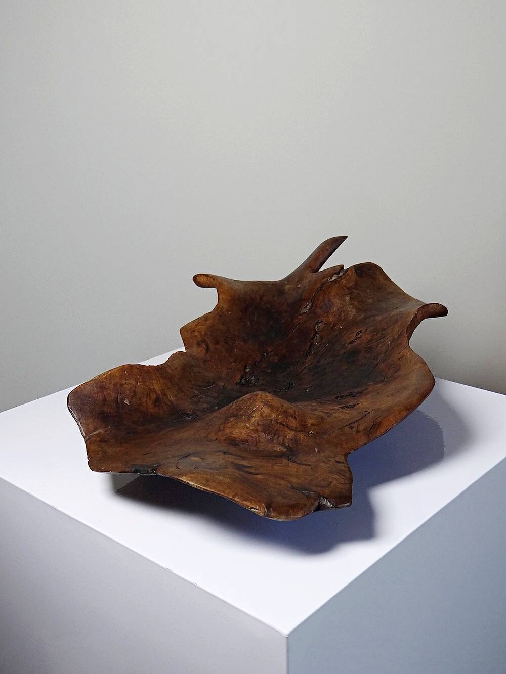 Large monoxyle bowl made of dark raw olive wood from the 1950s.