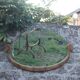 Art Deco mirror from the 1930s – Beveled glass & carved frame