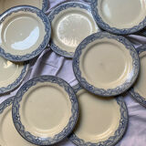 Set of flat blue plates