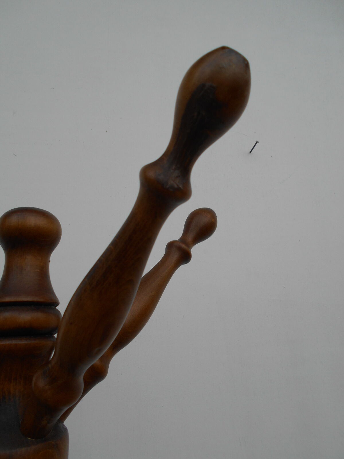 Parrot coat rack, solid oak with swivel head