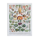 Illustration Millot "vegetables and vegetable plants"