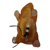 Leuchten pig lamp in resin