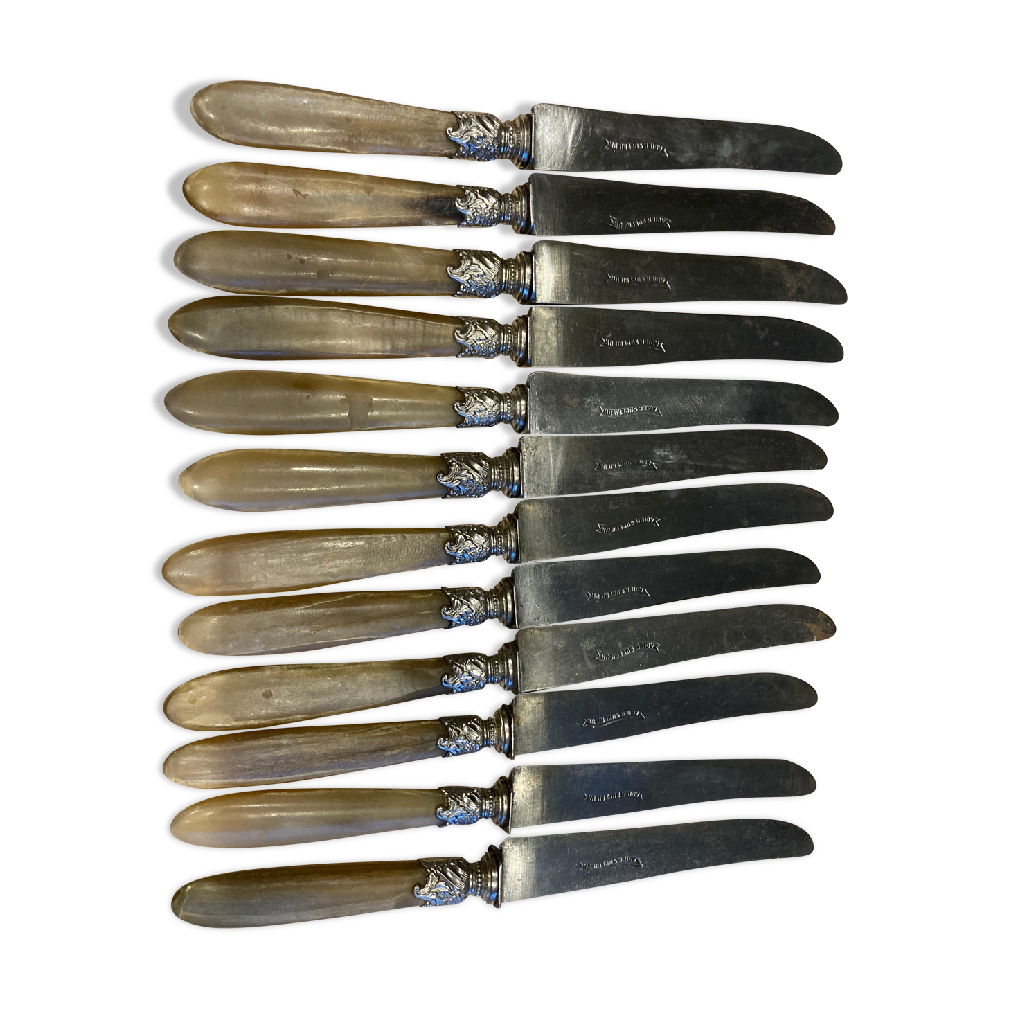 Série de 12 couteaux à manche en corne