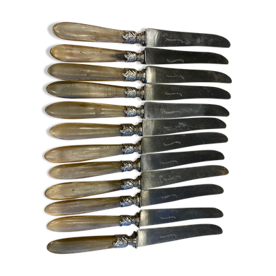 Série de 12 couteaux à manche en corne
