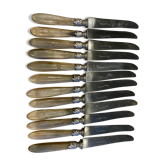 Series of 12 horn-handled knives