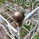 Lit cage volutes pour jardin d'hiver et d'été