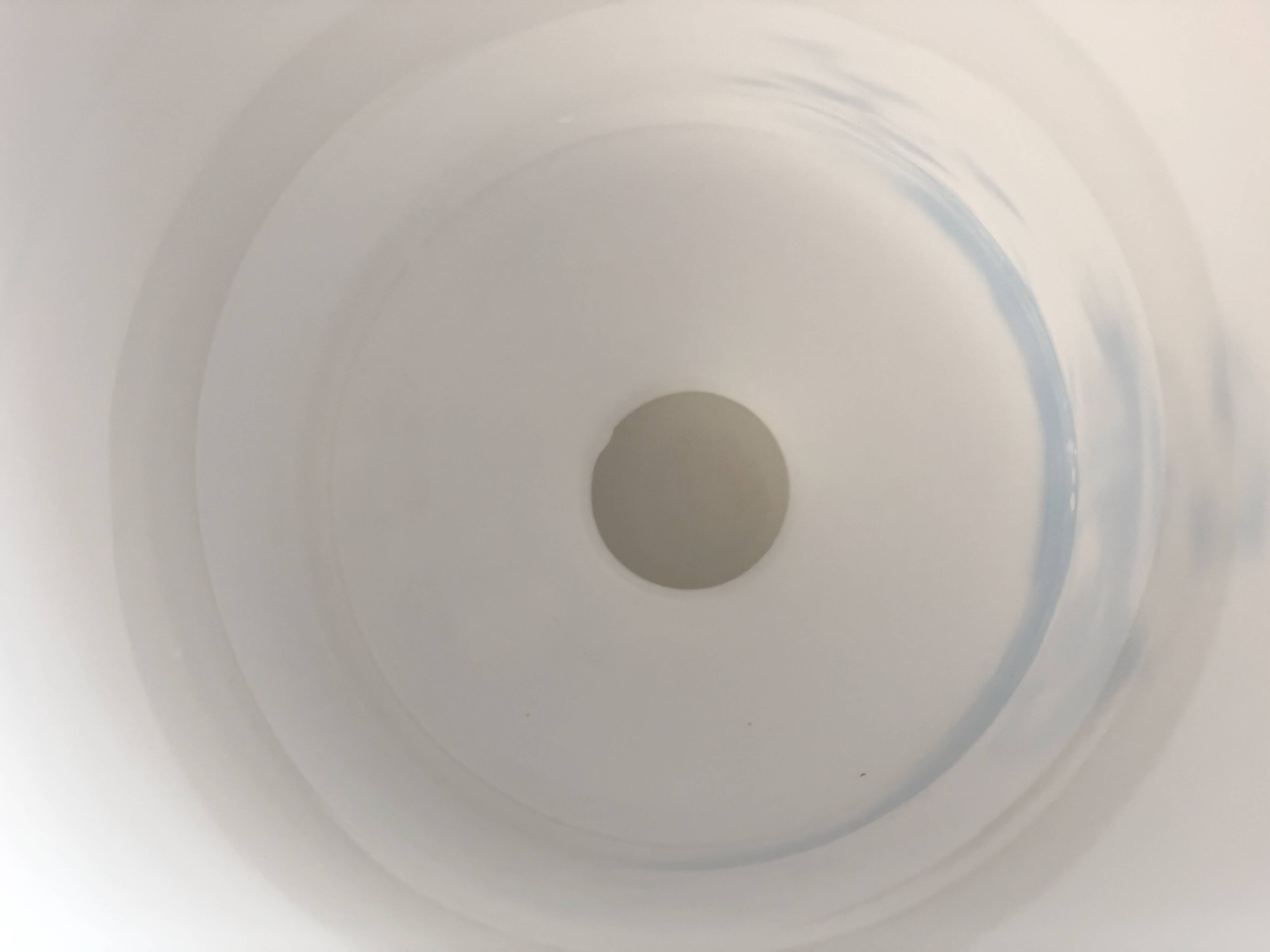 Grand Vase Opaline 19ème Siècle décor à l'antique