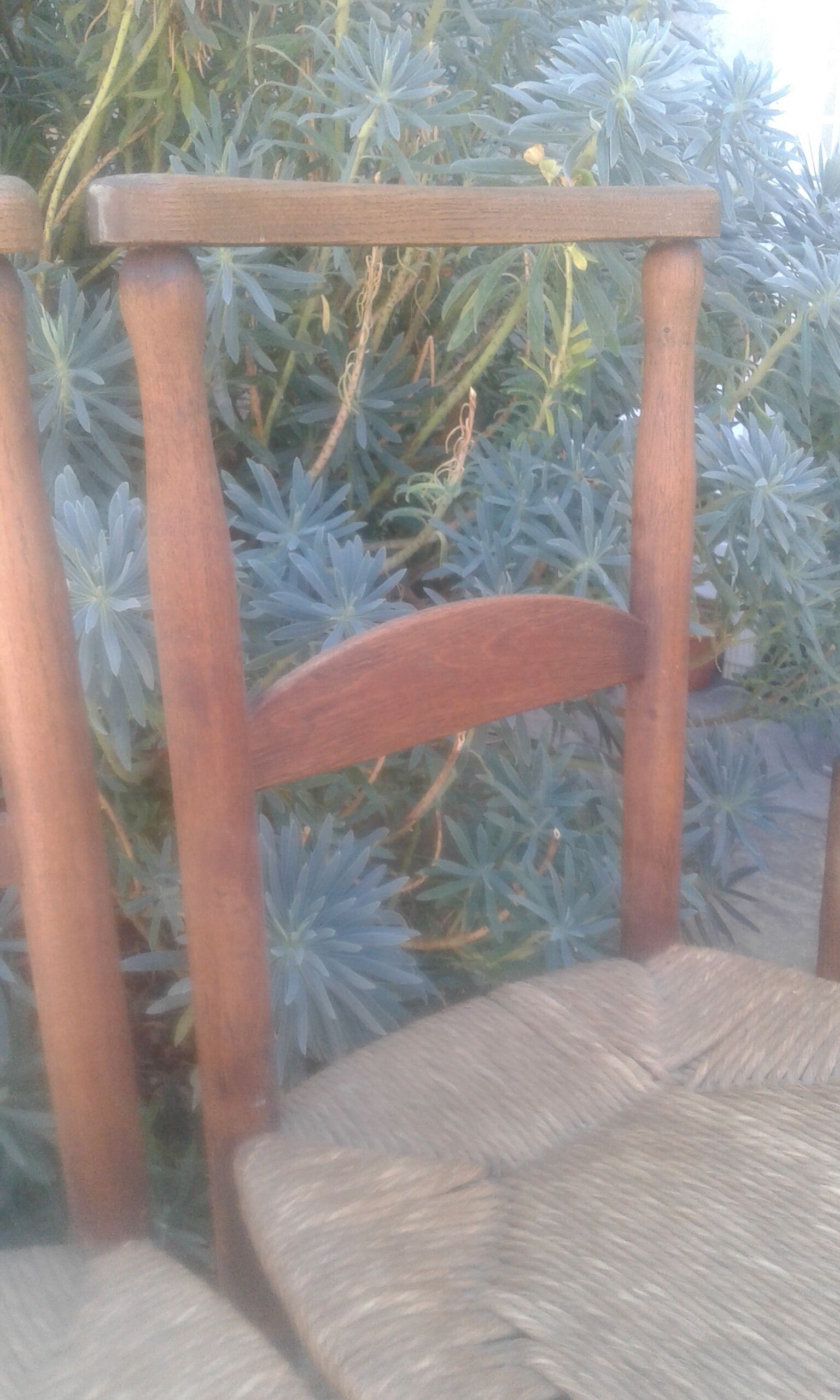 Set of five straw church chairs