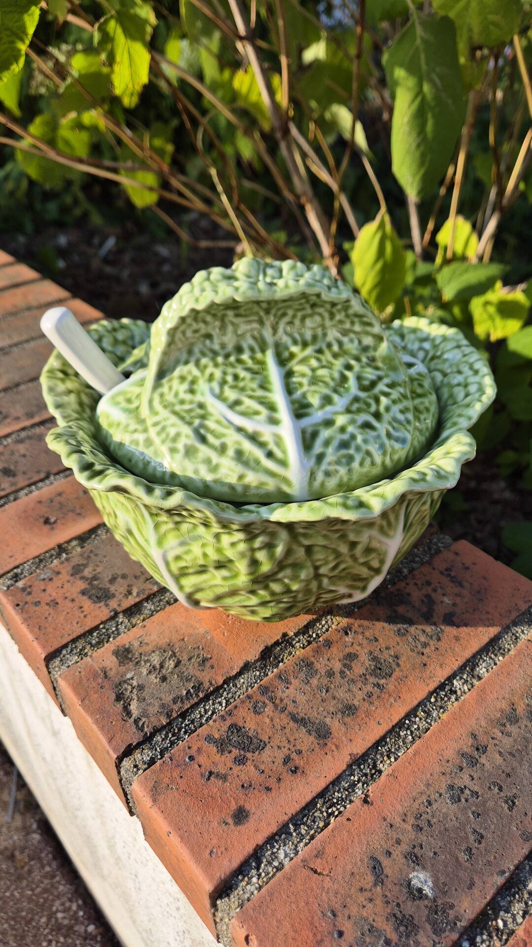 soupière chou vert avec louche