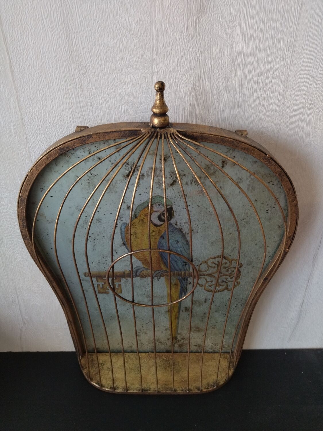 Vintage bird cage trompe-oeil painting