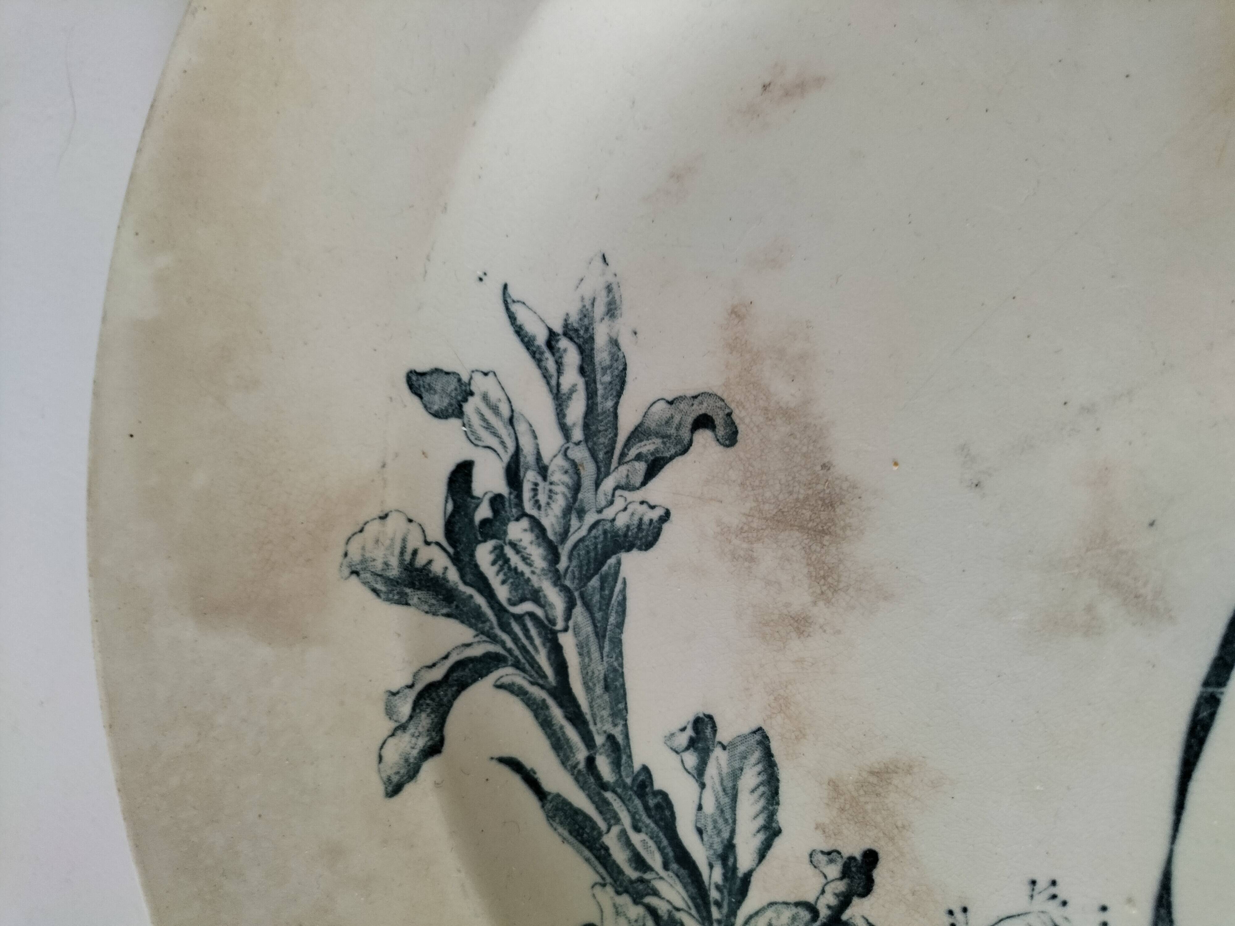 Set of 4 ancient iron lands – naturalistic decorations – around 1890-1910