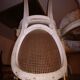 Lot Louis XV medallion chairs canned