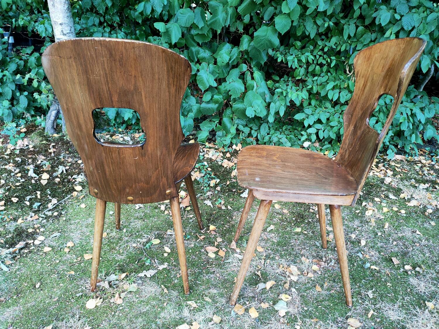 Pair of Baumann Gentiane model chairs