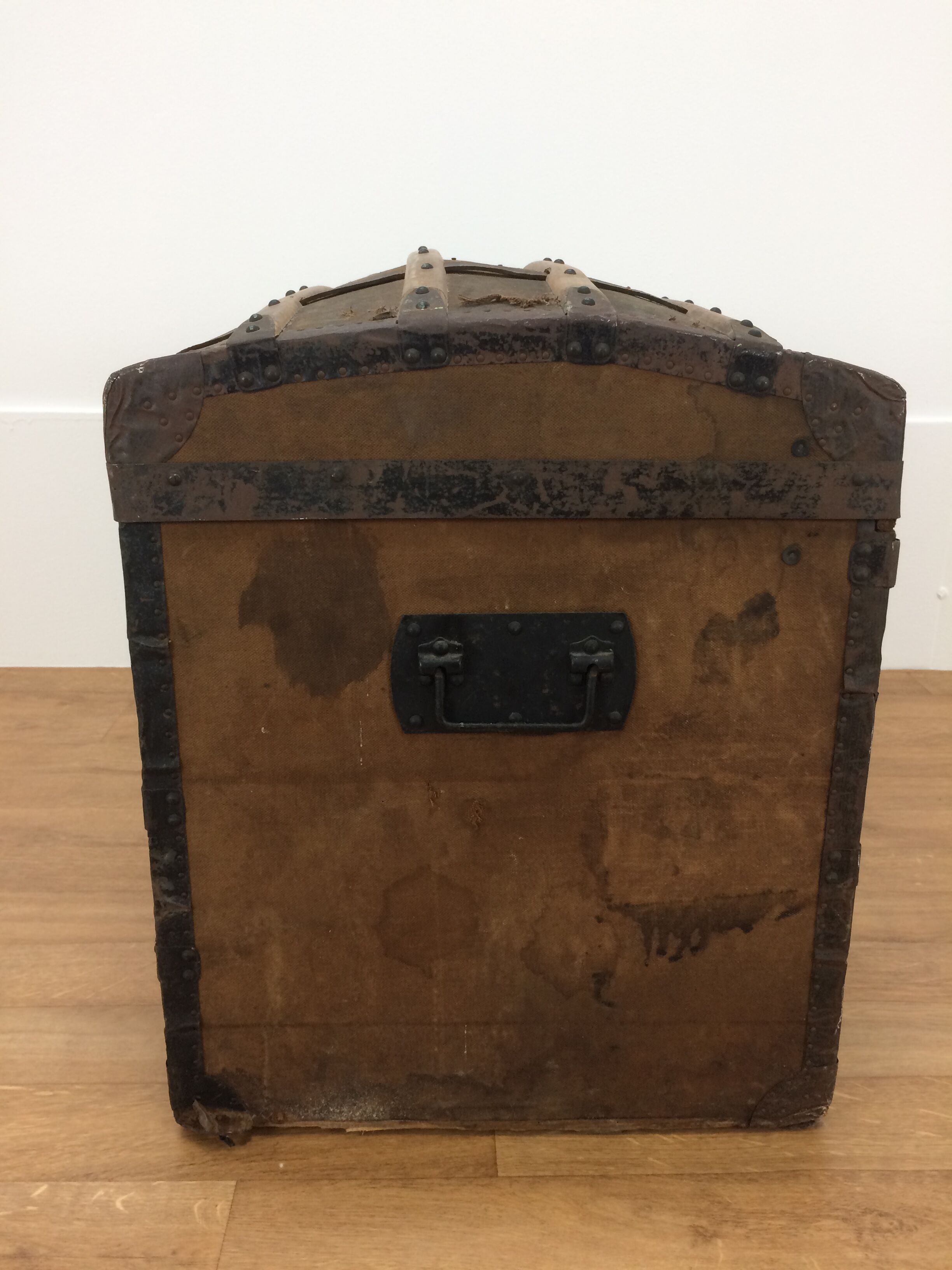 Bulging trunk at the tourist