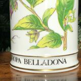 Pharmacy pot "Atropa belladona"