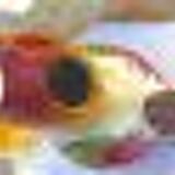 Old pitcher in slip - rooster - signature under the base - les islettes -